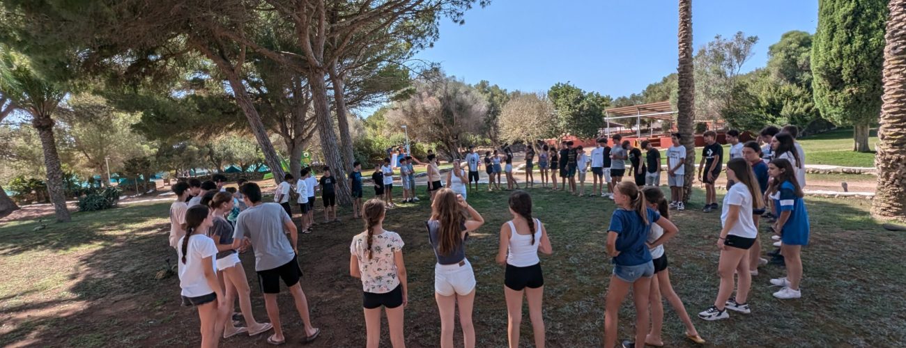 PXL_20240717_144846439